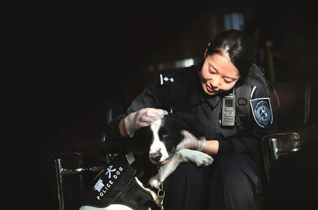 垃圾场上蝇虫横飞，警犬突然不停用爪子刨！