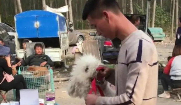 即便狗狗抱着主人不放,为了钱主人还是坚持卖掉它,网友:真狠心 即便狗狗抱着主人不放,为了钱主人还是坚持卖掉它,网友:真狠心