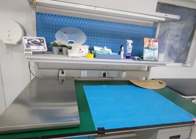 宠物殡葬馆里的哀伤宠主:为患病宠物选择安乐死,终身不复养 宠物殡葬馆里的哀伤宠主:为患病宠物选择安乐死,终身不复养