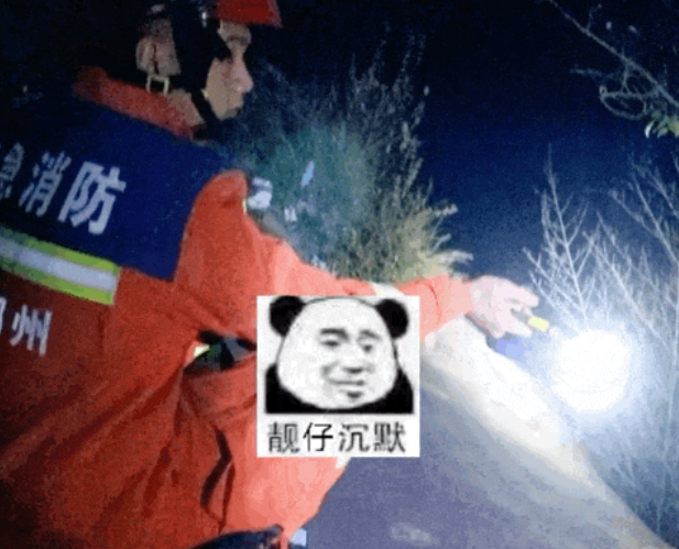 狗子非去悬崖边拉屎，结果脚滑掉了下去…获救后夹尾巴逃避：别拍了，丢狗