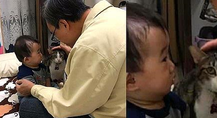 爷爷给虎斑猫和孙子训话，屁猫一脸不爽：好烦，到底有完没完？