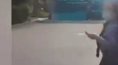 “让长春疾控中心弄死你”,大妈用砖砸流浪猫狗,市民劝阻被回怼 “让长春疾控中心弄死你”,大妈用砖砸流浪猫狗,市民劝阻被回怼