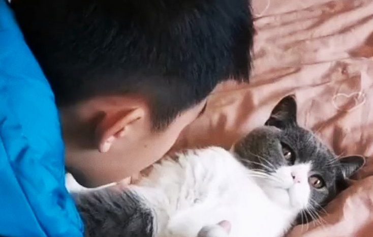 “吸猫”成瘾,该怪你还是怪猫 “吸猫”成瘾,该怪你还是怪猫
