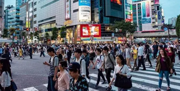 日本宠物数量超过儿童人数,几乎见不到流浪狗,弃养“违法” 日本宠物数量超过儿童人数,几乎见不到流浪狗,弃养“违法”
