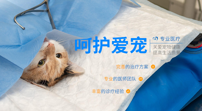 宠欣安宠物医院在哪 宠欣安宠物医院在哪
