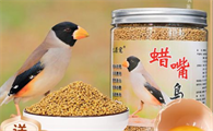 蜡嘴鸟饲料怎么配比