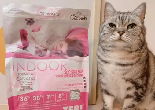 汤恩贝猫粮系列怎么选?汤恩贝小恶魔冻干猫粮怎么样 汤恩贝猫粮系列怎么选?汤恩贝小恶魔冻干猫粮怎么样