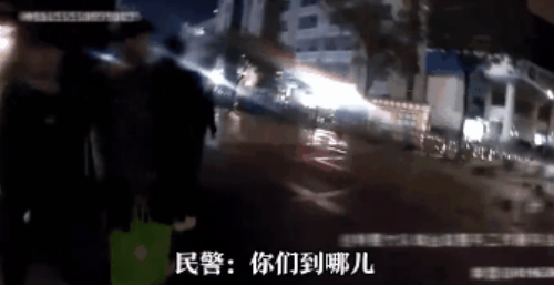 导盲犬带5个人吃火锅迷路了,被民警捡到,网友:它是导盲犬不是导航犬 导盲犬带5个人吃火锅迷路了,被民警捡到,网友:它是导盲犬不是导航犬