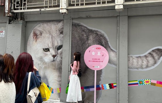 “外滩猫街”背后的艺术家Tango:猫是能疗愈人心的宠物 “外滩猫街”背后的艺术家Tango:猫是能疗愈人心的宠物