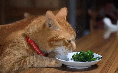 小猫可以吃什么