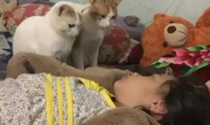 铲屎官睡过头，错过了喂猫时间，结果醒来后猫咪差点委屈哭了