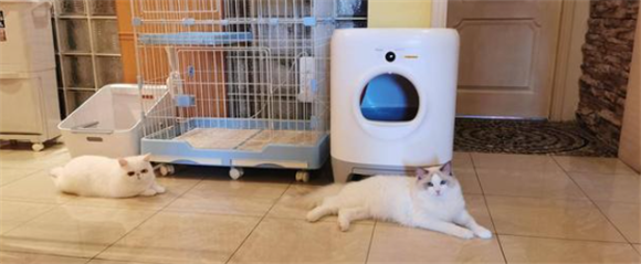 养猫怎么给屋里除臭