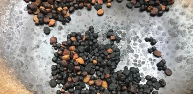 外出5天，我家猫在家给自己做饭......