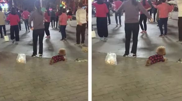 泰迪乖乖地卧一旁看主人跳广场舞，幸好它对这没兴趣呀