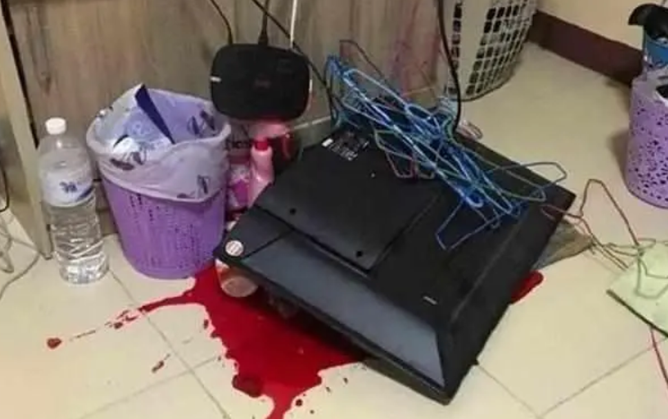 猫咪打翻液晶电视，宠主回家都懵了，竟有种养了哈士奇的错觉！