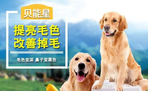 贝能星丨秉承“保证一流质量，保持一级信誉”的经营理念