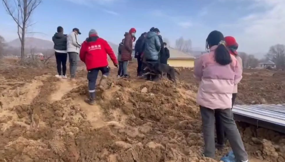 甘肃地震突如其来，我带搜救犬到灾区救援