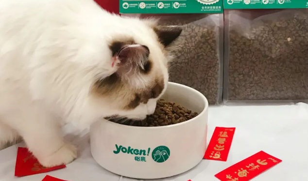 它来了它来了！准备了这么久，怡亲新品0谷猫粮大揭幕！