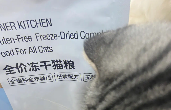 蒂利瑞猫粮详细测评！