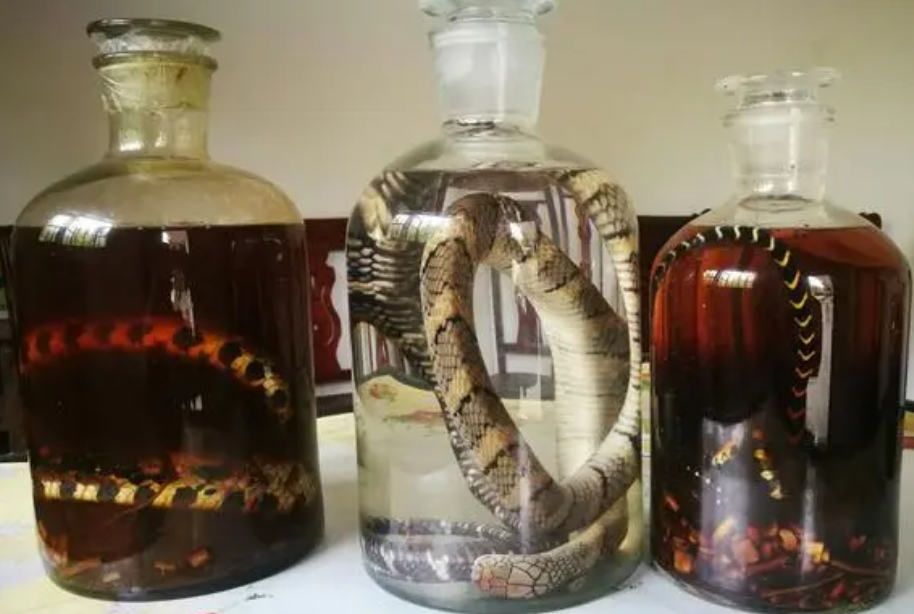 蛇酒的功效与作用 蛇酒的功效与作用