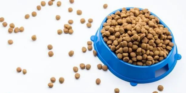 哪几种猫粮比较安全：打造健康的小猫咪口粮！