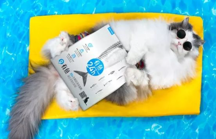 让宠物界假洋品牌颤抖的猫粮品牌“有鱼”,入驻鲸仓智享仓! 让宠物界假洋品牌颤抖的猫粮品牌“有鱼”,入驻鲸仓智享仓!