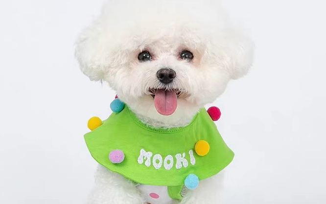 mookipet宠物衣服好吗