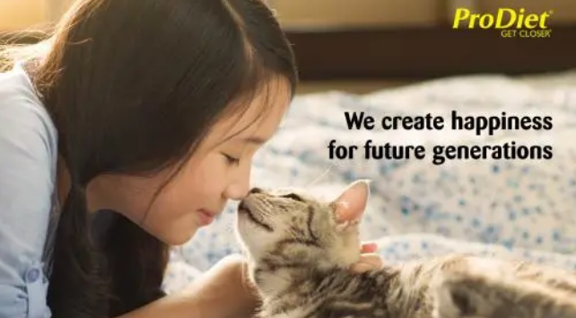 博黛猫粮:高性价比打造人和宠物之间的“生活桥梁” 博黛猫粮:高性价比打造人和宠物之间的“生活桥梁”