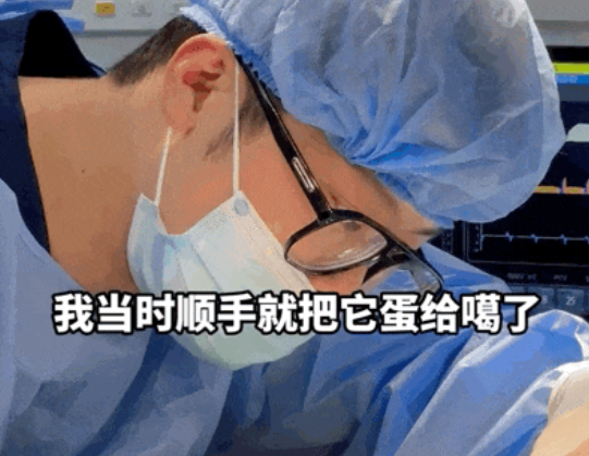流浪狗受伤就往医院跑,还贿赂院长混上编制…皆大欢喜的结局,医生却哭了 流浪狗受伤就往医院跑,还贿赂院长混上编制…皆大欢喜的结局,医生却哭了
