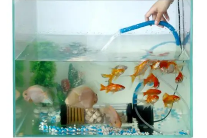金鱼缸水过滤器 金鱼缸水过滤器