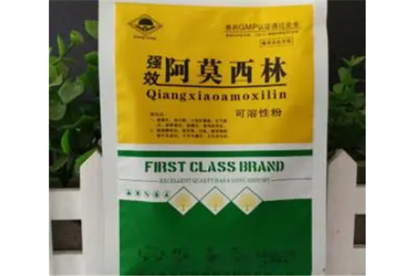 阿莫西林喂鸟的用量 阿莫西林喂鸟的用量