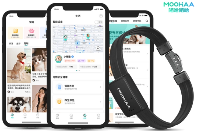 陌哈陌哈智能项圈多久冲一次流量