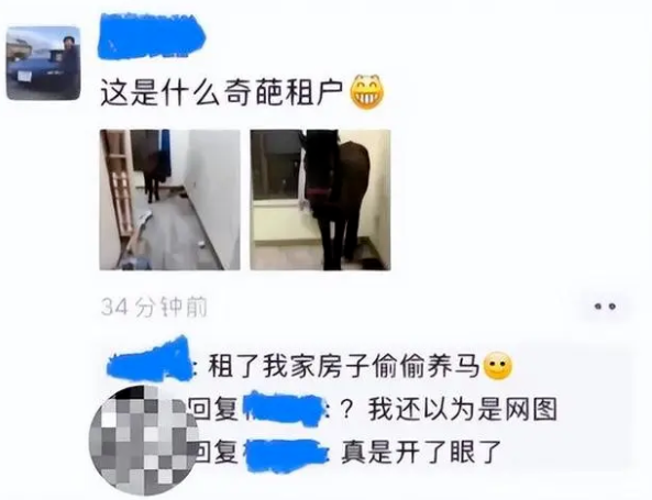 离谱！租客跟房东说养宠物，结果养的是”