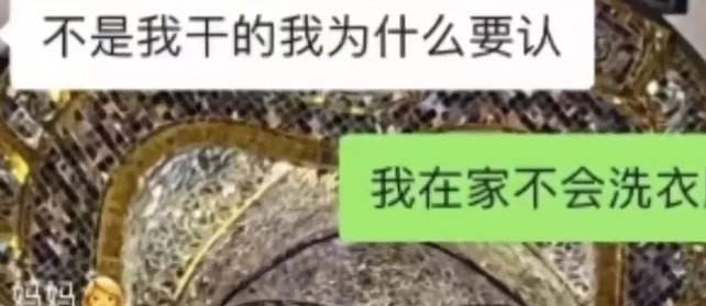 女子发现猫咪惨死洗衣机中,怀疑合租者系凶手,当事人:哭了三天还做噩梦 女子发现猫咪惨死洗衣机中,怀疑合租者系凶手,当事人:哭了三天还做噩梦