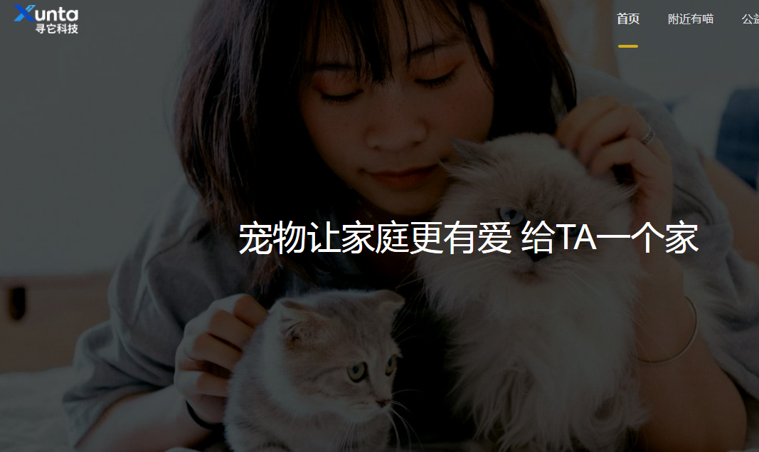 寻它科技公司在哪里