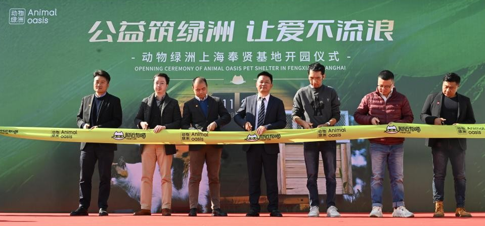 寻它科技:领养代替购买,附近有喵有爱行动 寻它科技:领养代替购买,附近有喵有爱行动