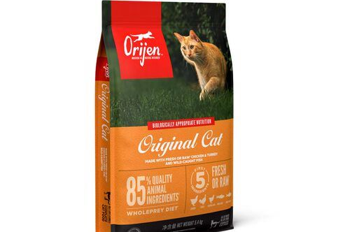 猫咪养护需精细,猫粮哪种好你都知道吗? 猫咪养护需精细,猫粮哪种好你都知道吗?