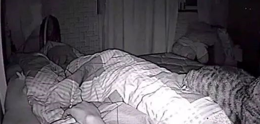 铲屎官装了摄像头想看看猫咪晚上都在干什么,结果也是非常有爱了 铲屎官装了摄像头想看看猫咪晚上都在干什么,结果也是非常有爱了
