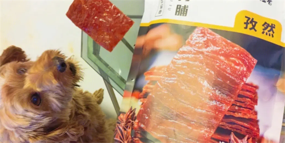 小狗可以吃猪肉脯吗