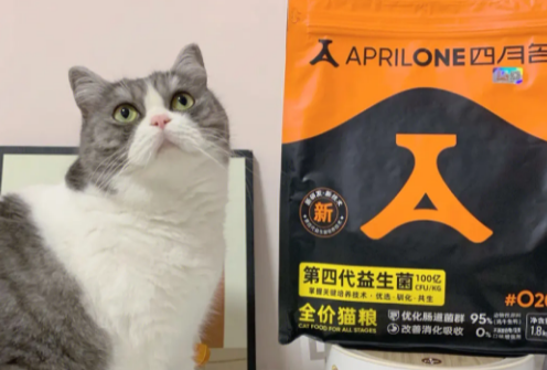 早期项目|爆款单品登上天猫热销榜top1,「四月名」想做让消费者放心的国产“它品牌” 早期项目|爆款单品登上天猫热销榜top1,「四月名」想做让消费者放心的国产“它品牌”