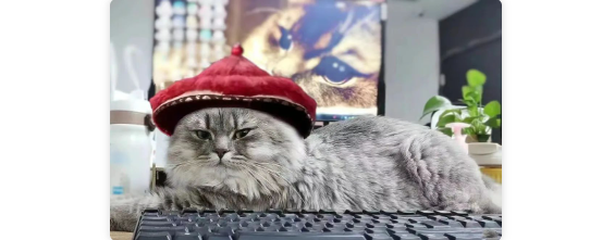 猫咪小时候超呆萌，长大后却变...这不是鳌拜吗？！
