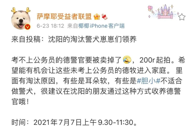 54只警犬被公开拍卖，得知原因后……”