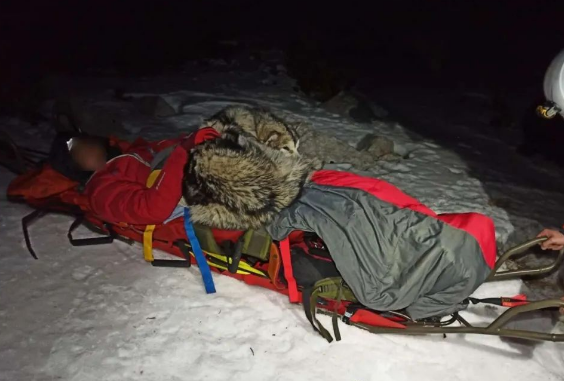 主人雪山遇险，阿拉斯加用体温护了他13个小时...