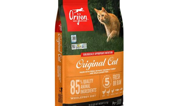 猫咪养护需精细,猫粮哪种好你都知道吗? 猫咪养护需精细,猫粮哪种好你都知道吗?