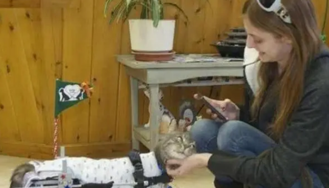 猫咪被前主人扭断脖子,幸好遇见现主人,让它再一次相信人类 猫咪被前主人扭断脖子,幸好遇见现主人,让它再一次相信人类