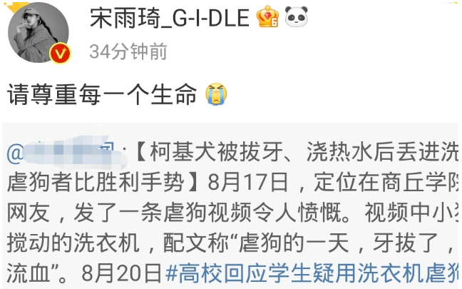 四天时间,洗衣机虐待柯基事件仍未有结果,艺人宋雨琦为狗子发声 四天时间,洗衣机虐待柯基事件仍未有结果,艺人宋雨琦为狗子发声