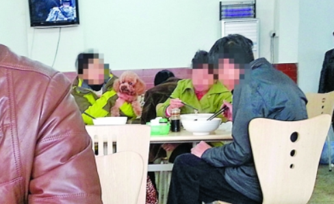 男子在面馆携狗同桌吃饭 食客反感店家称不好阻止