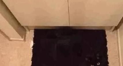 铲屎官埋头到处找猫,抬头时却发现猫咪一直在暗中观察着自己 铲屎官埋头到处找猫,抬头时却发现猫咪一直在暗中观察着自己