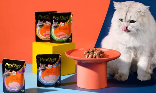 ProDiet博黛:用正确的方式关爱流浪猫 ProDiet博黛:用正确的方式关爱流浪猫