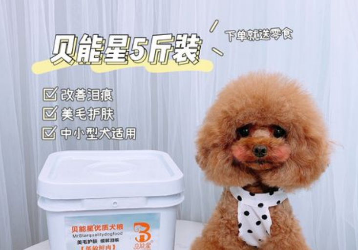 贝能星丨秉承“保证一流质量，保持一级信誉”的经营理念